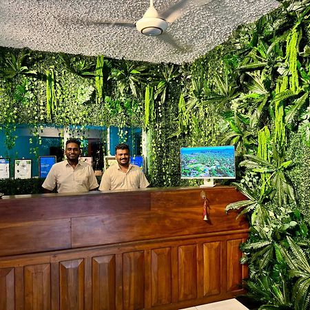 Sundaras Infinity Jungle Resort 담불라 외부 사진