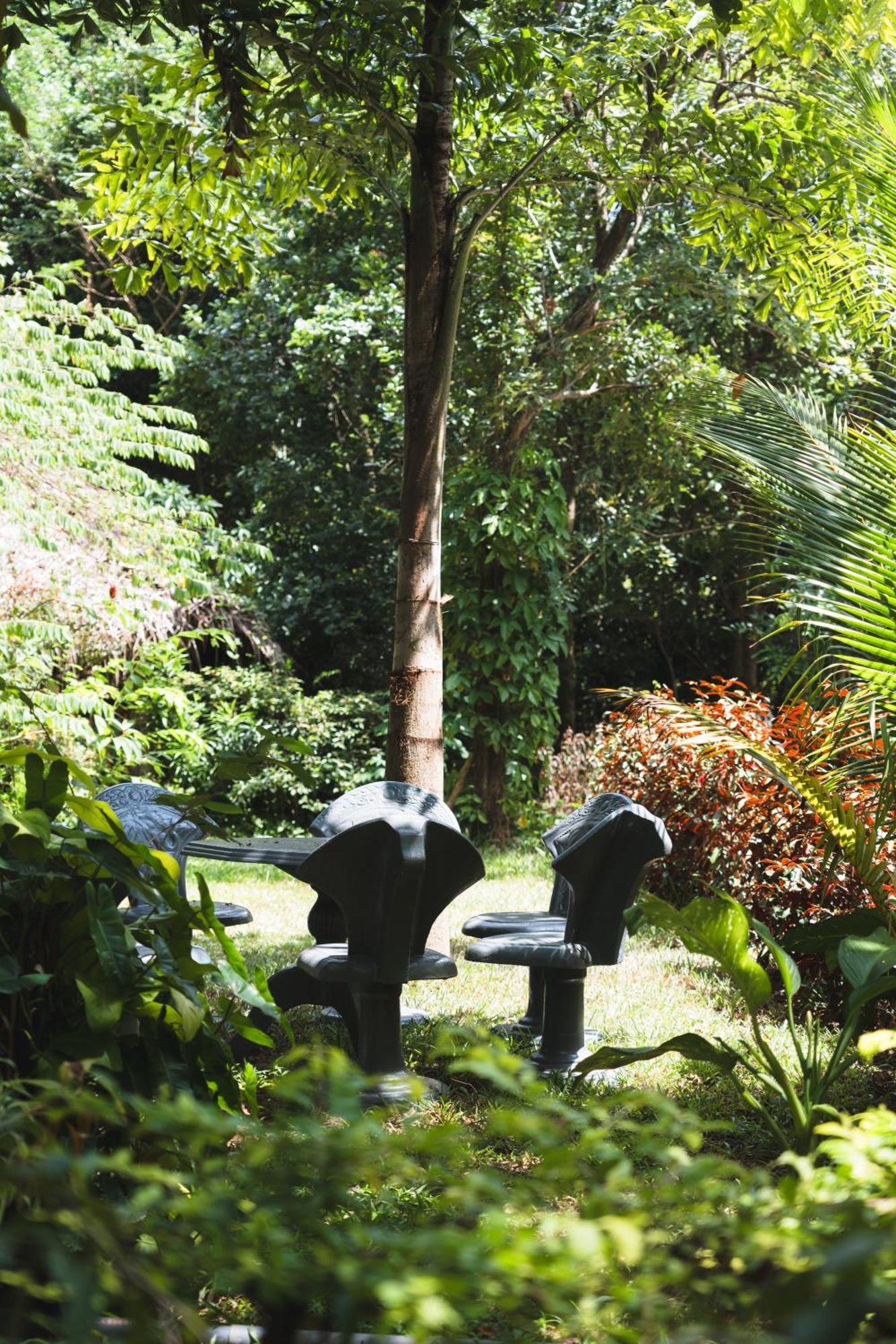 Sundaras Infinity Jungle Resort 담불라 외부 사진